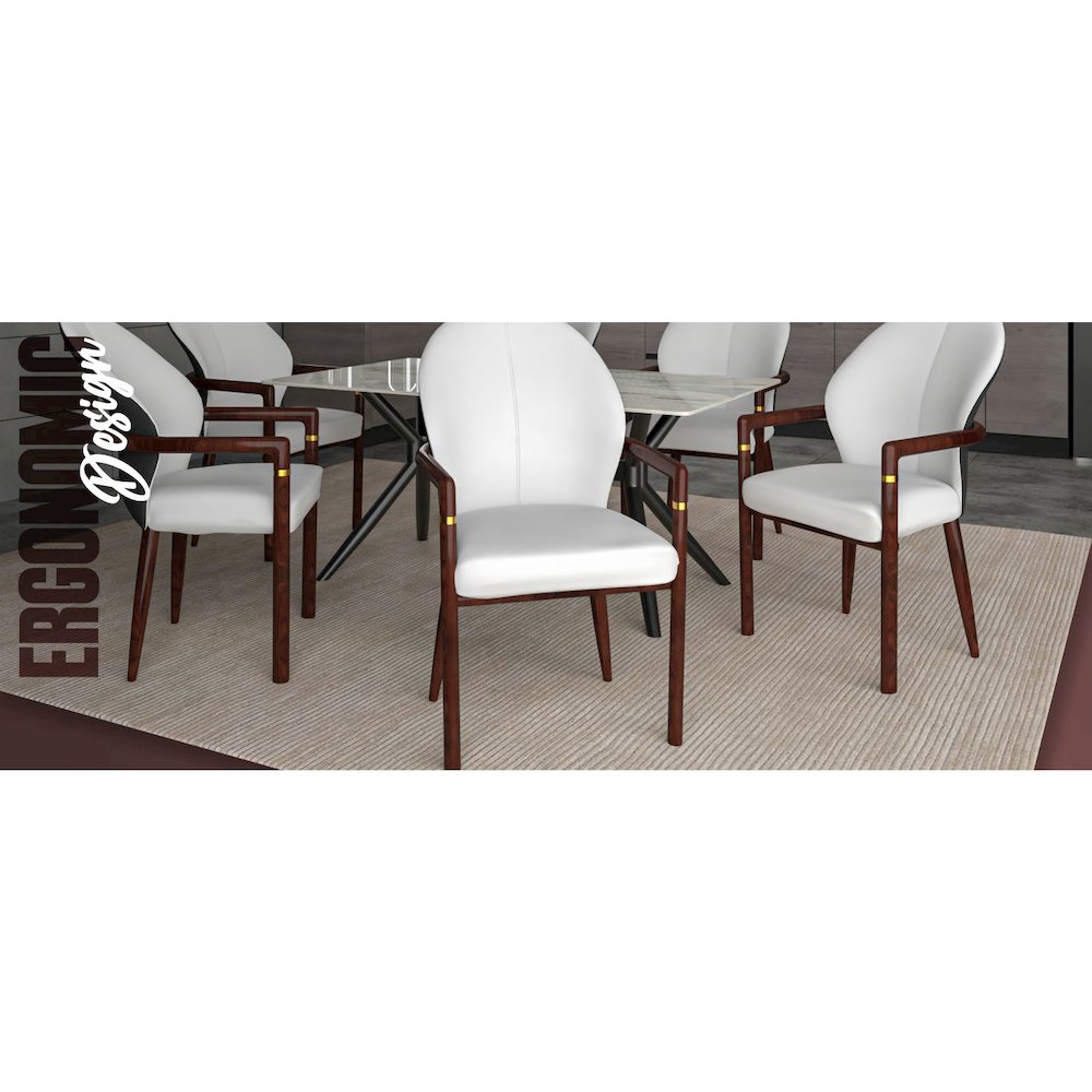 Opaline Series Elegant Wooden Dining Chair in Black Velvet and White