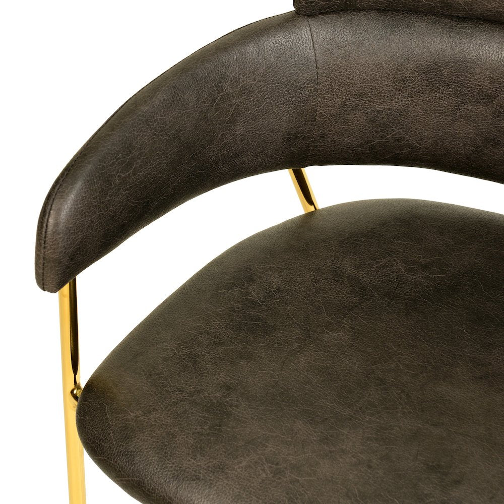 Axis Collection Modern Gold Dining Chair in Charcoal