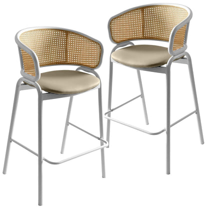 Ervilla Wicker Bar Stool Set of 2