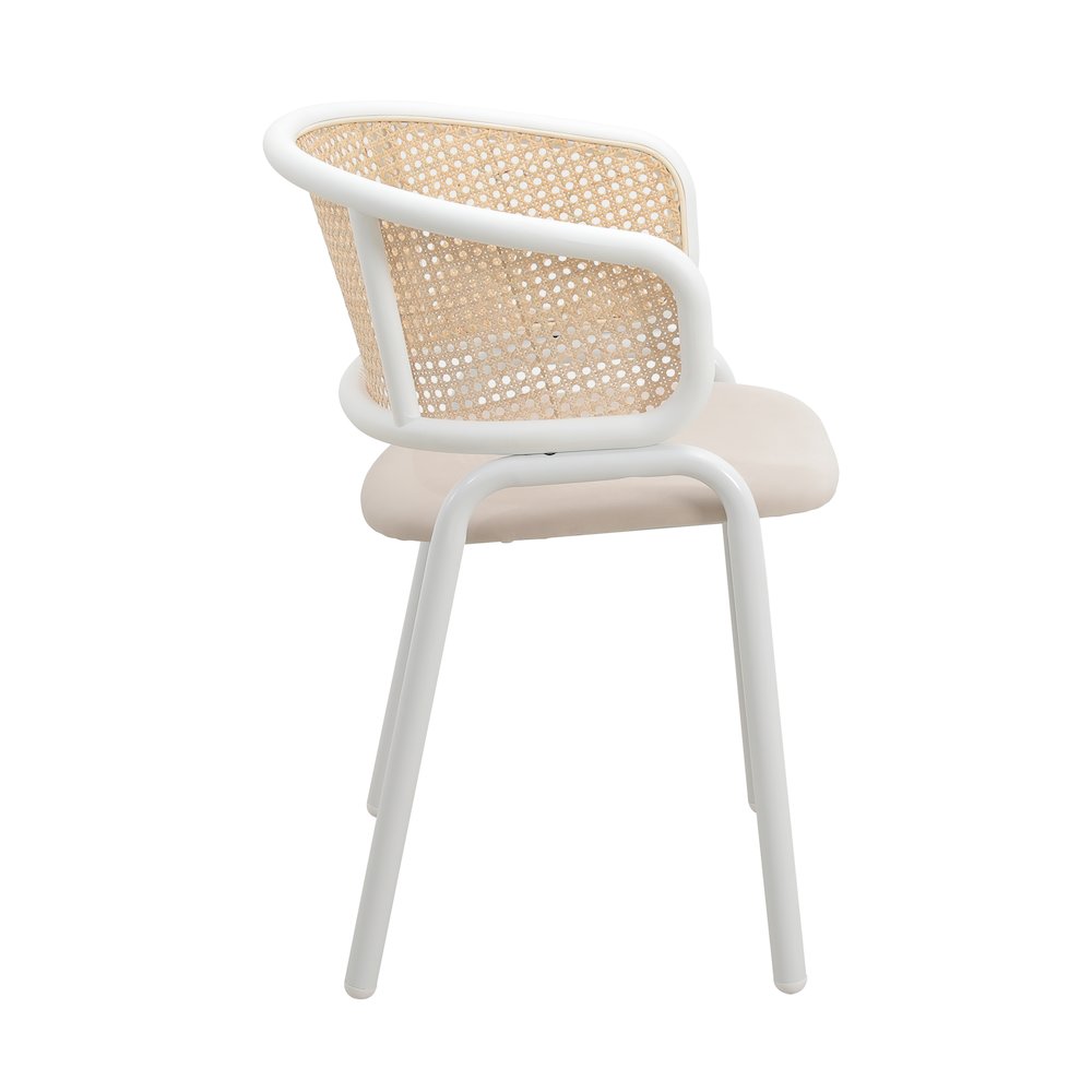 Ervilla Modern Dining Chair Set of 2