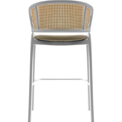 Ervilla Wicker Bar Stool Set of 2