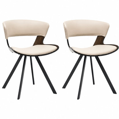 Murray Modern Dining Chair, Set of 2