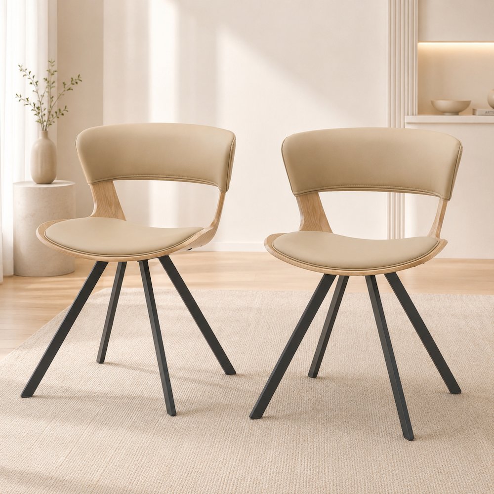 Murray Modern Dining Chair, Set of 2