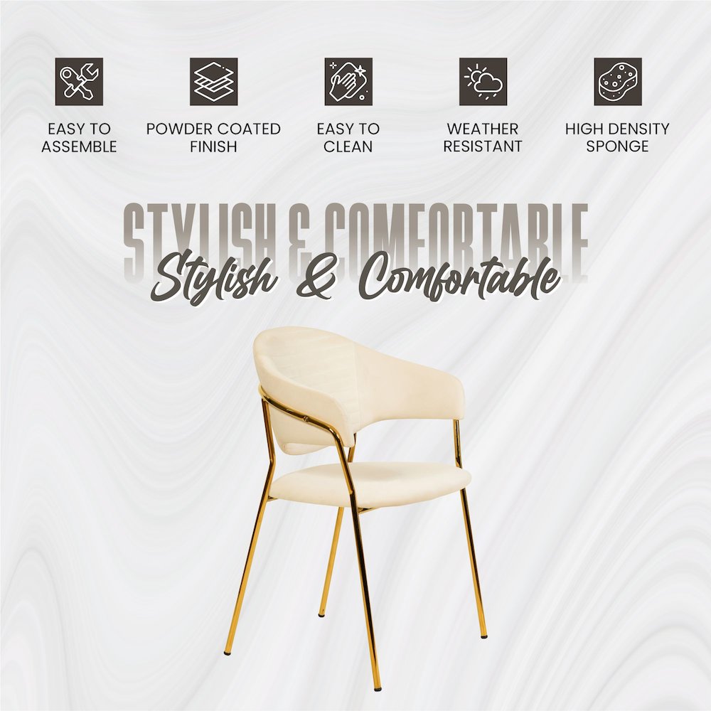 Bella Collection Modern Dining Chair in Off White