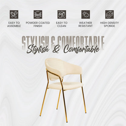 Bella Collection Modern Dining Chair in Off White