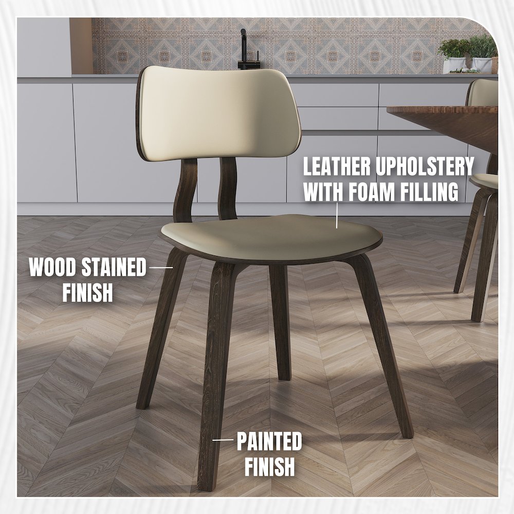 Modern Wooden Dining Chair