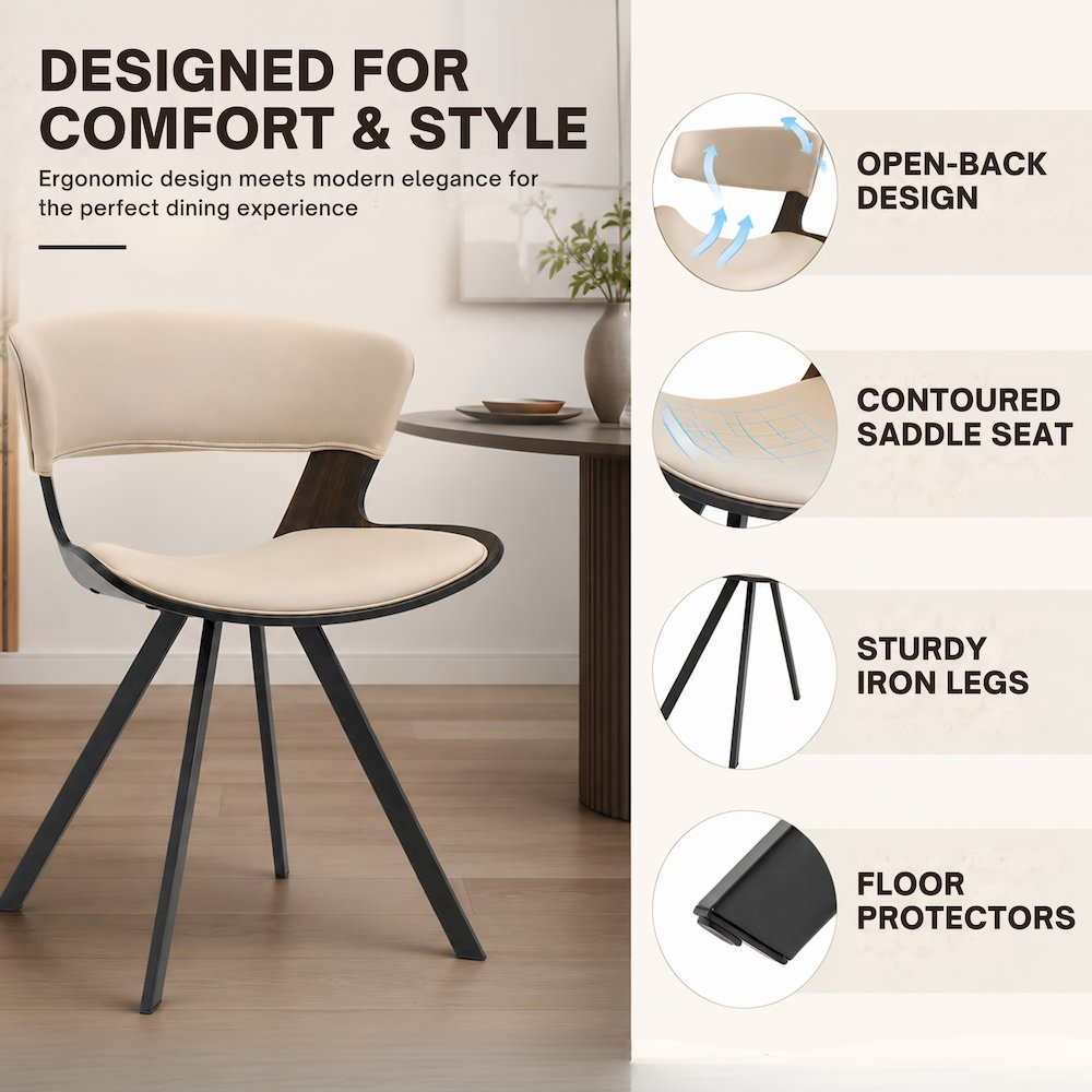 Murray Modern Dining Chair, Set of 2
