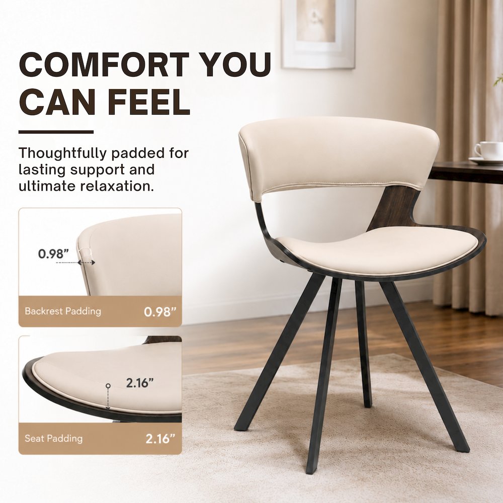 Murray Modern Dining Chair, Set of 2