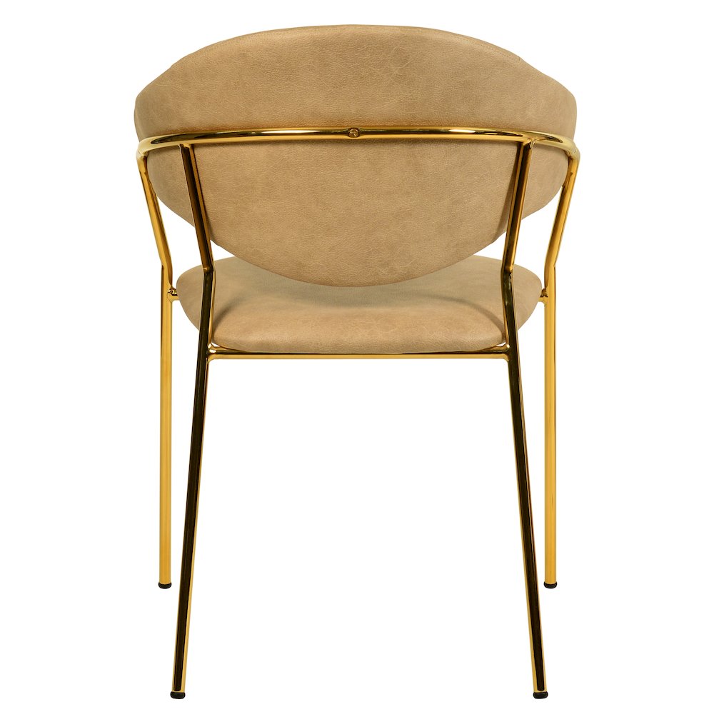 Bella Collection Modern Dining Chair in Toupe