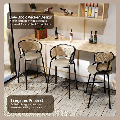 Ervilla Wicker Bar Stool Set of 2