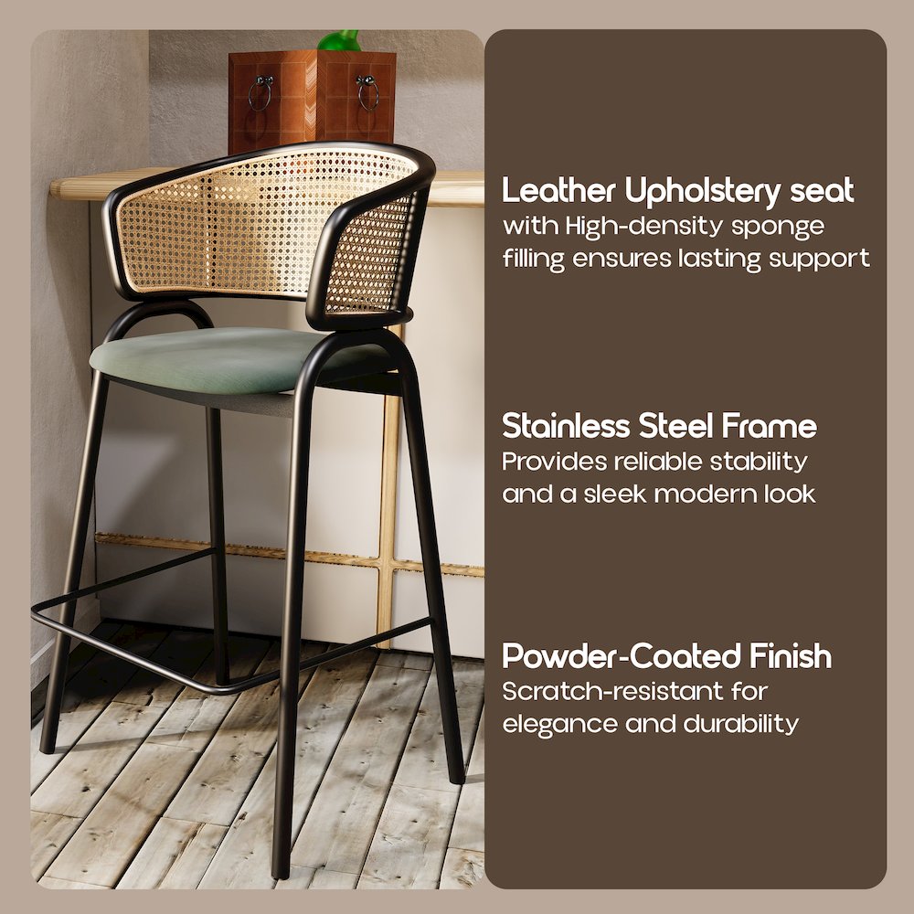 Ervilla Wicker Bar Stool Set of 2