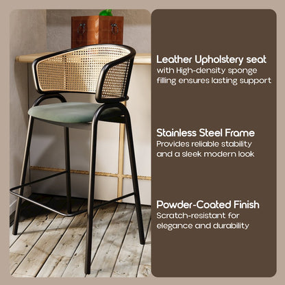 Ervilla Wicker Bar Stool Set of 2