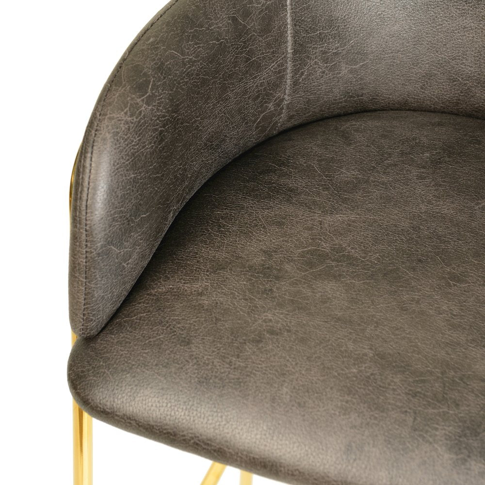 Axis Collection Modern Gold Bar height Chair in Charcoal
