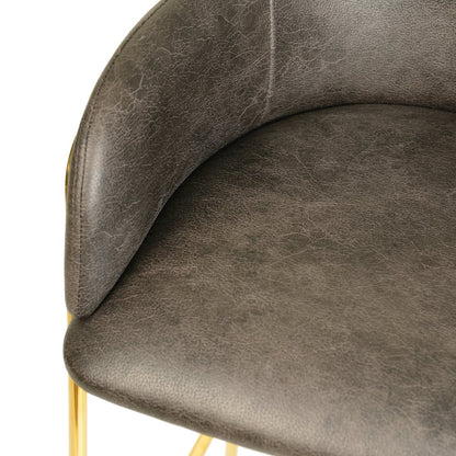 Axis Collection Modern Gold Bar height Chair in Charcoal