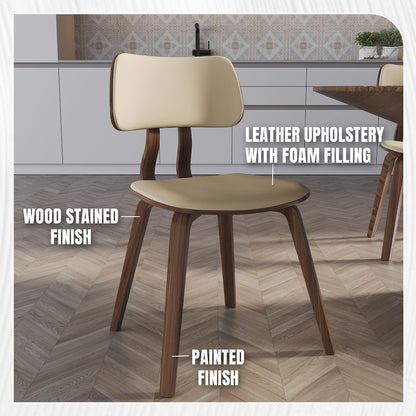 Modern Wooden Dining Chair