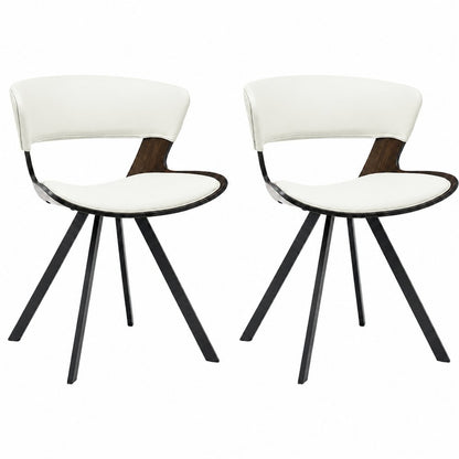 Murray Modern Dining Chair, Set of 2