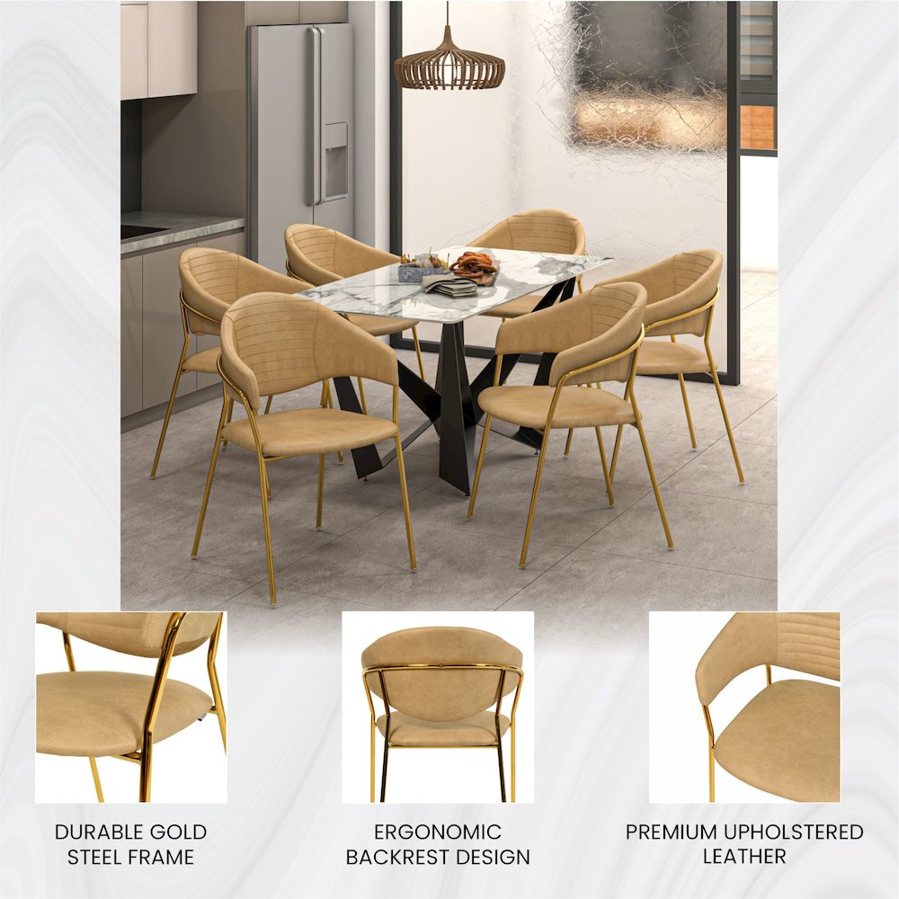 Bella Collection Modern Dining Chair in Toupe