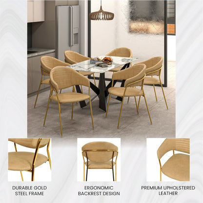 Bella Collection Modern Dining Chair in Toupe