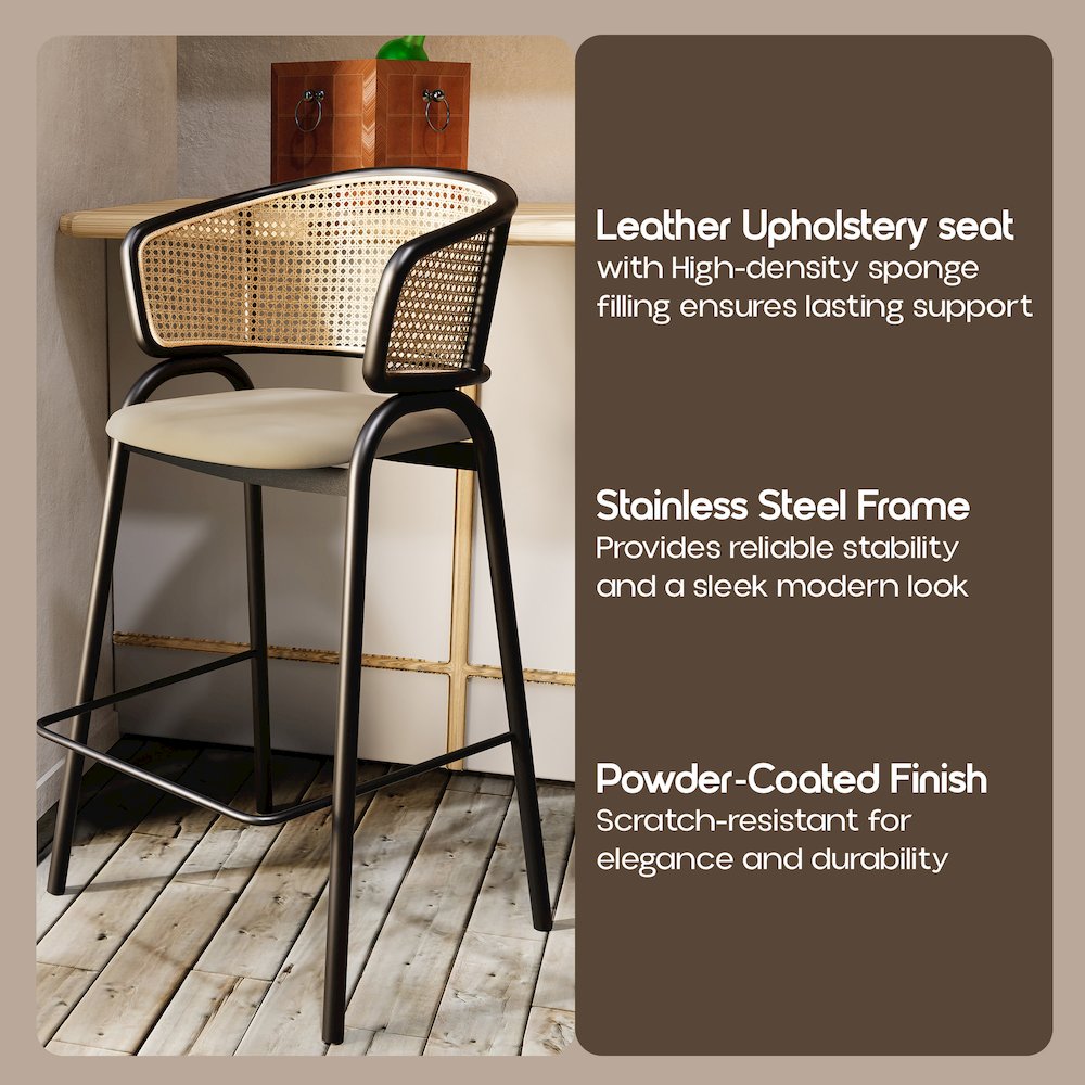 Ervilla Wicker Bar Stool Set of 2