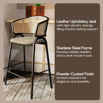 Ervilla Wicker Bar Stool Set of 2