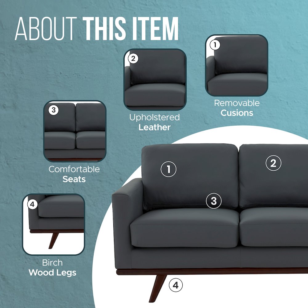 Chester Modern Leather Loveseat With Birch Wood Base