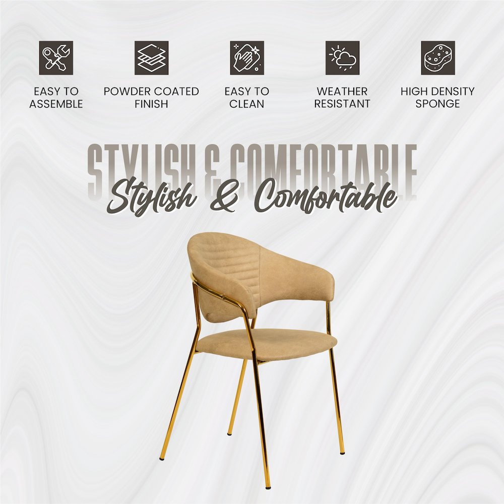 Bella Collection Modern Dining Chair in Toupe