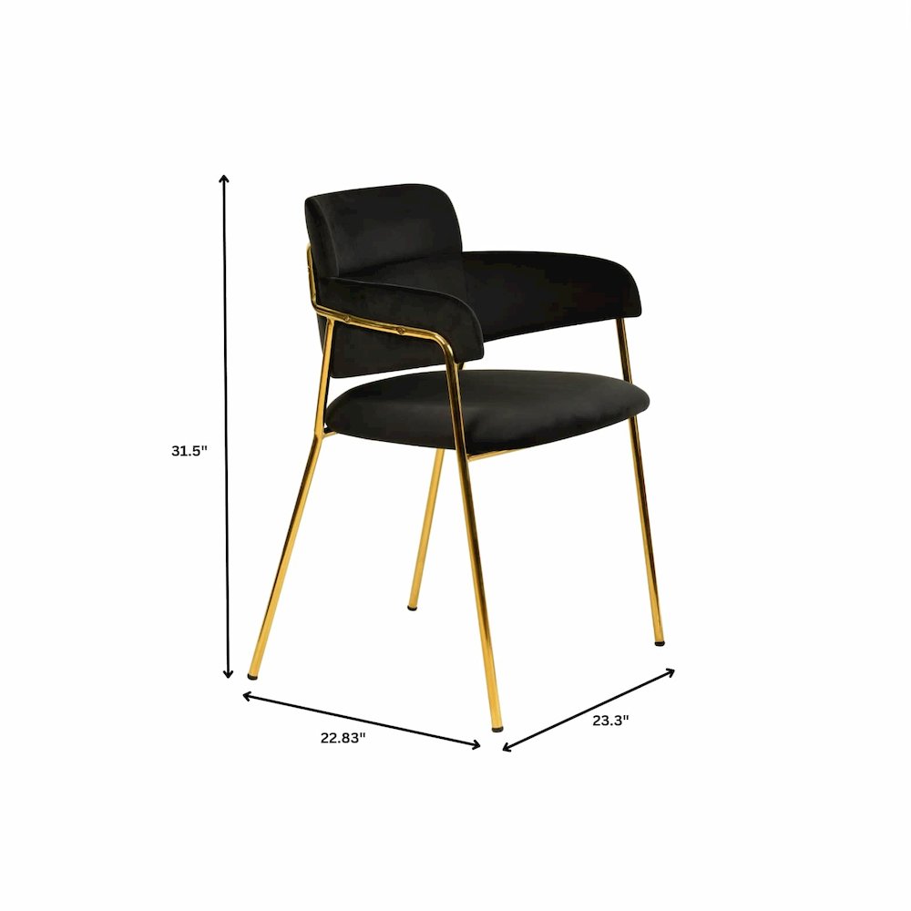 Axis Collection Modern Gold Dining Chair in Black - Set of 2
