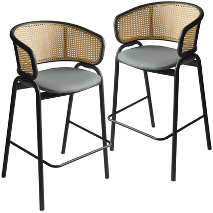 Ervilla Wicker Bar Stool Set of 2