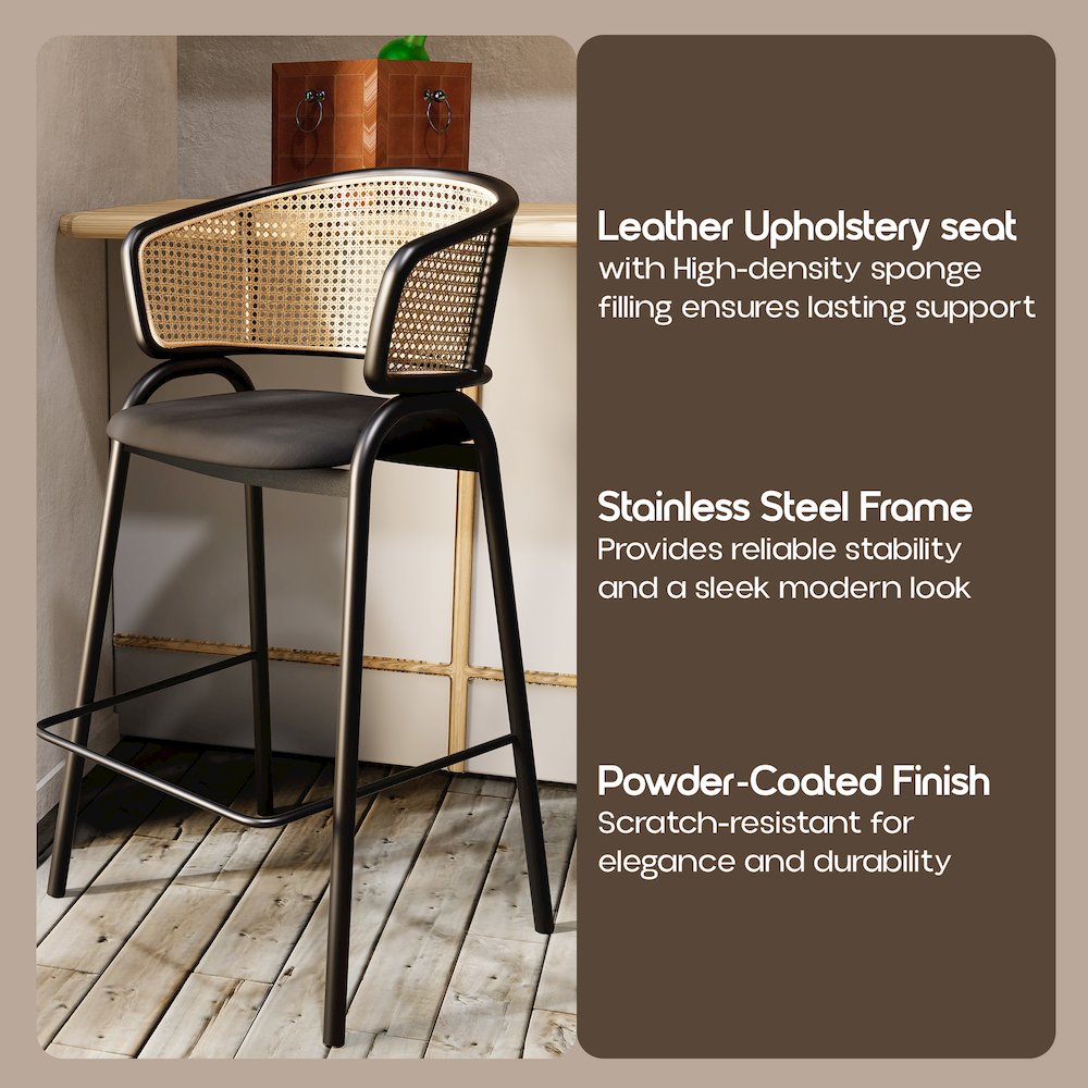 Ervilla Wicker Bar Stool Set of 2