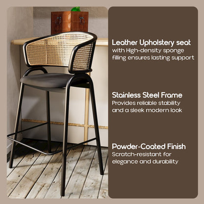 Ervilla Wicker Bar Stool Set of 2