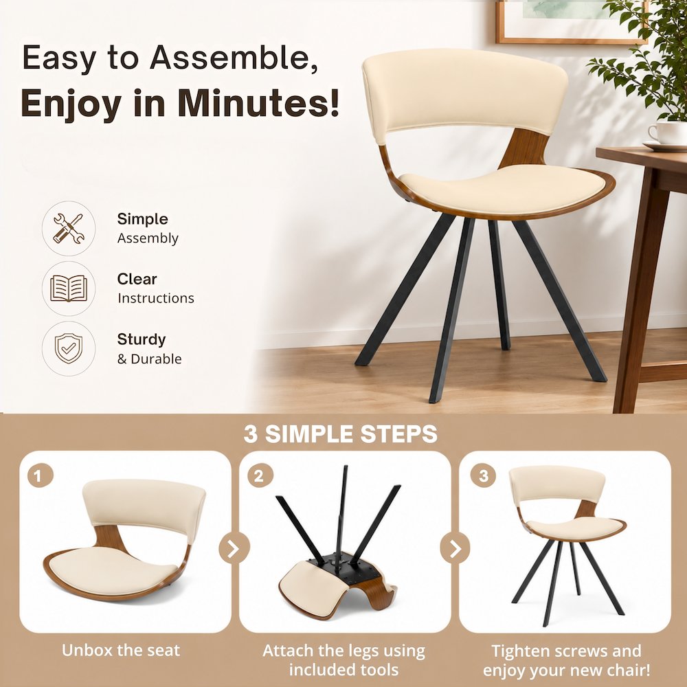 Murray Modern Dining Chair, Set of 2