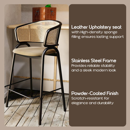 Ervilla Wicker Bar Stool Set of 2