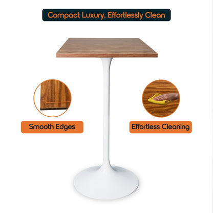 Verve Collection 24 Square Top Bar Height Table