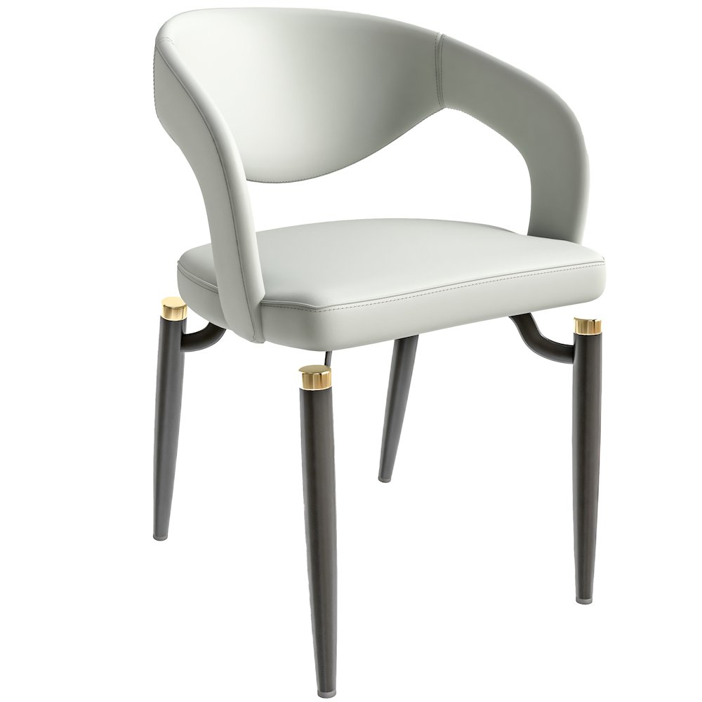 Entice Collection Modern Dining Chair Set of 2 in Grey