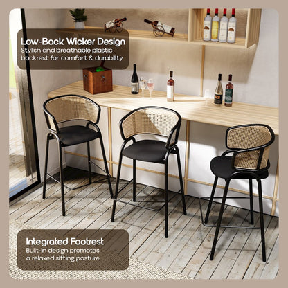 Ervilla Wicker Bar Stool Set of 2