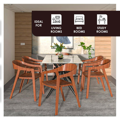 Rivo Collection Elegant Dining Chair in Dark Natural Wood - Set of 2