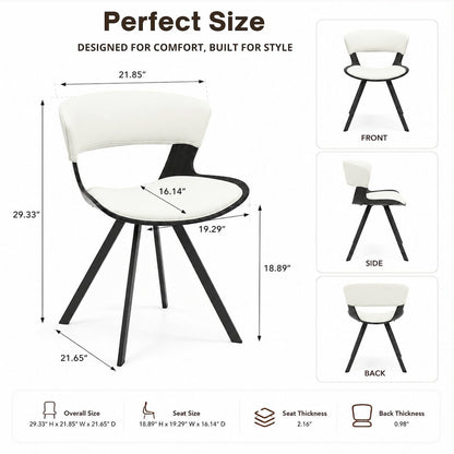 Modern Oyster Transparent Side Chair