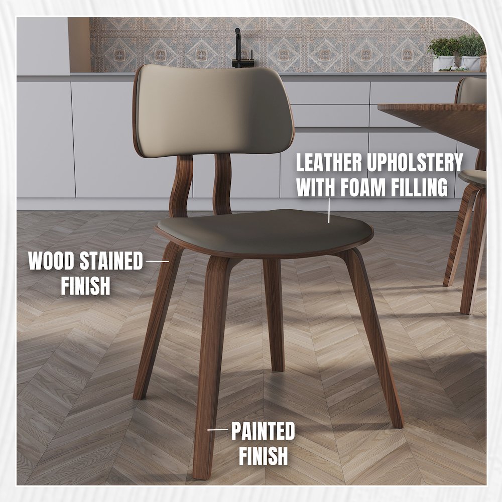Modern Wooden Dining Chair
