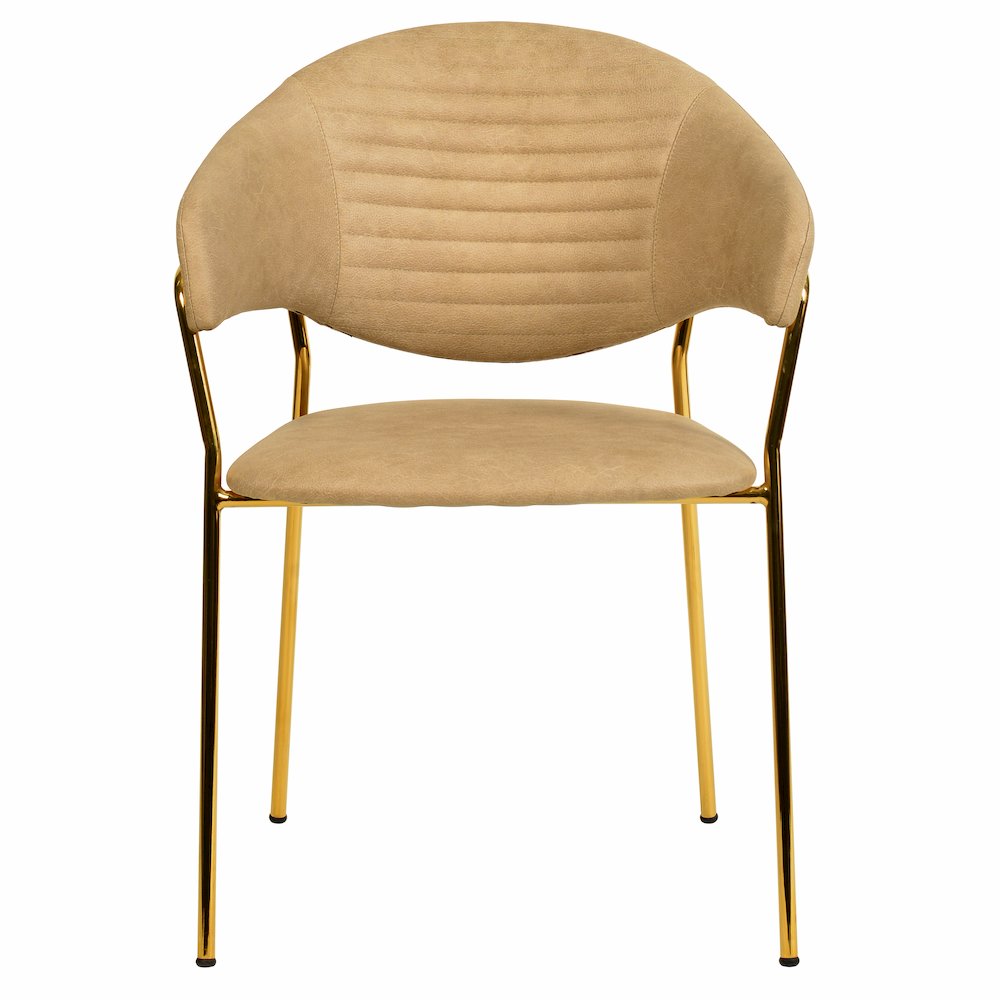 Bella Collection Modern Dining Chair in Toupe