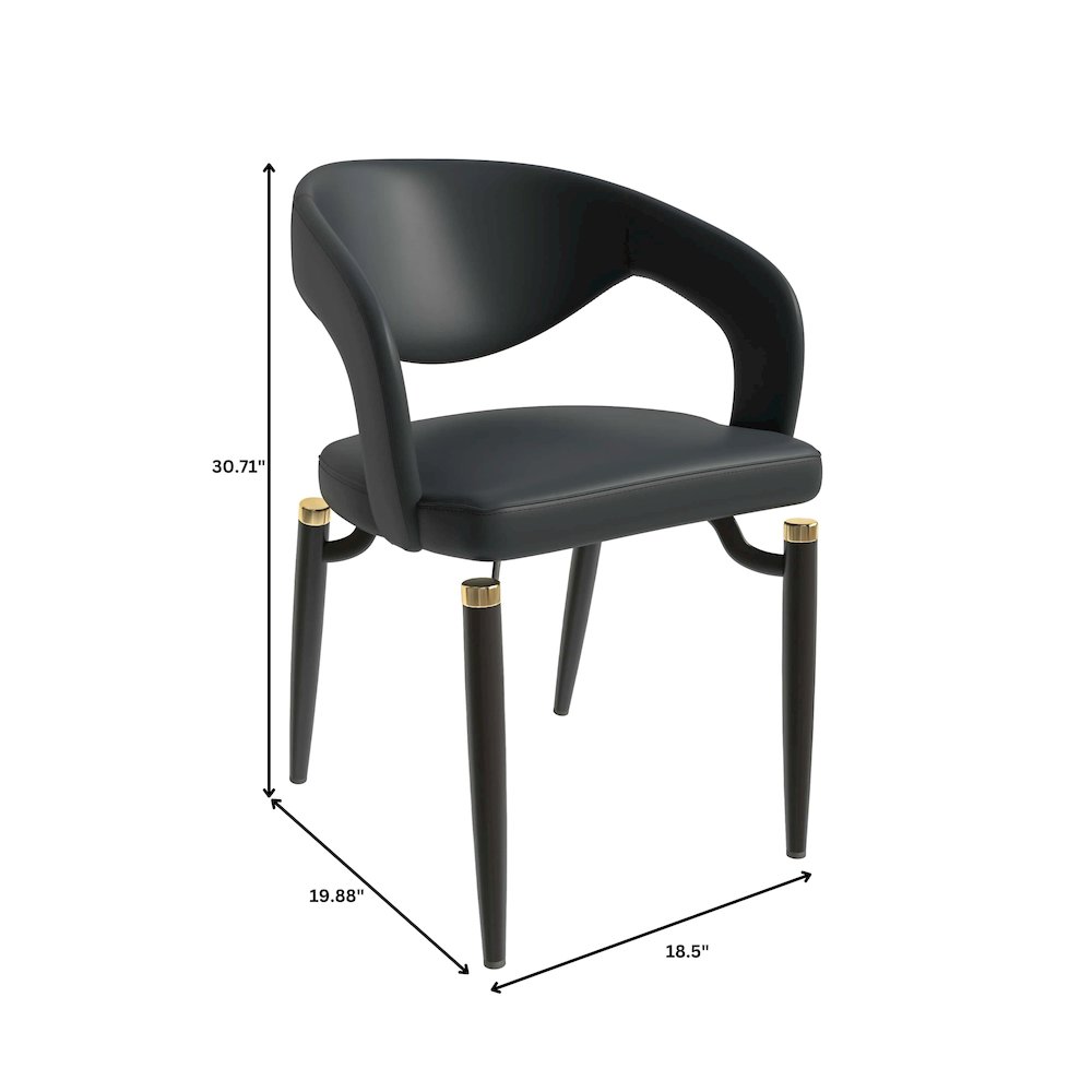 Entice Collection Modern Dining Chair Set of 2 in Charcoal Black