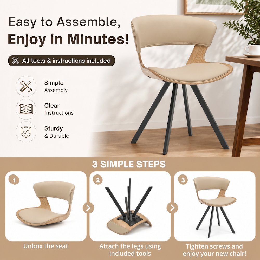 Modern Oyster Transparent Side Chair