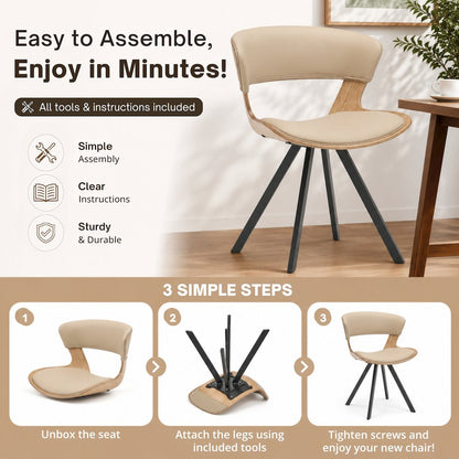Modern Oyster Transparent Side Chair