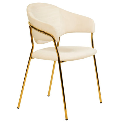 Bella Collection Modern Dining Chair in Off White