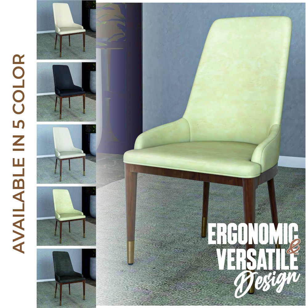 Viva Collection Modern Wooden Dining Chair in Cream