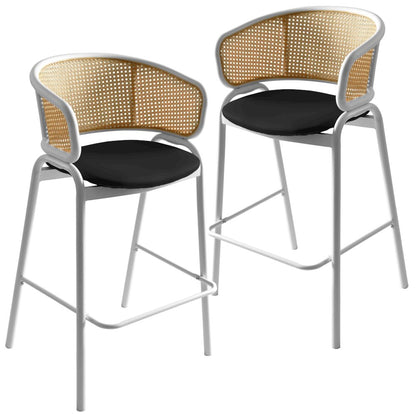 Ervilla Wicker Bar Stool Set of 2