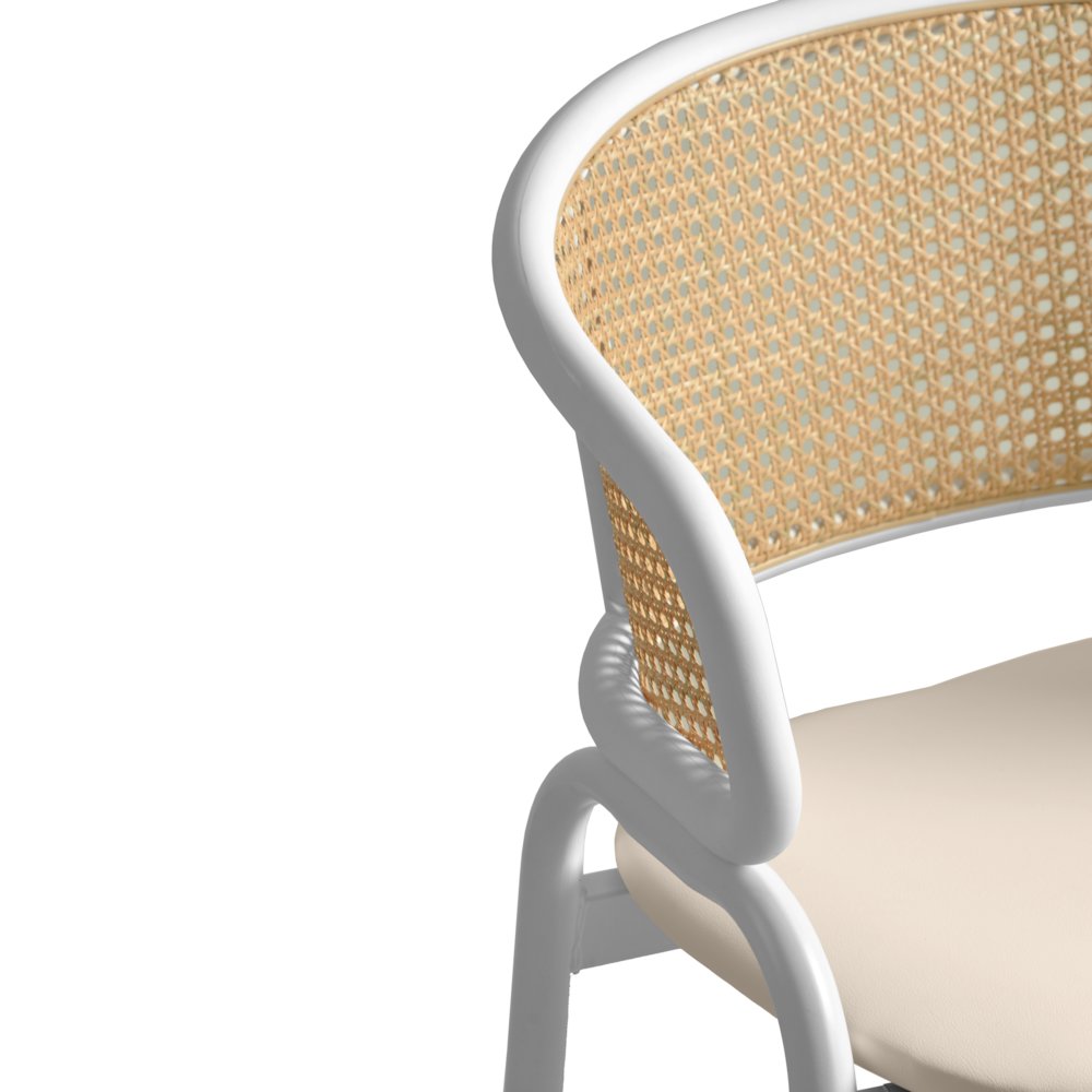 Ervilla - Dining Chair - White frame in White Leather