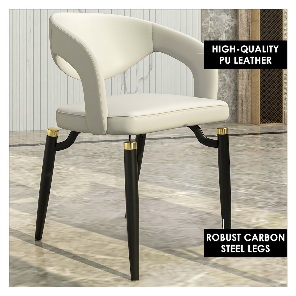 Entice Collection Modern Dining Chair Set of 2 in Grey
