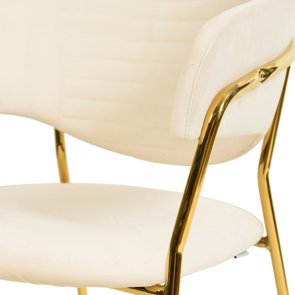 Bella Collection Modern Dining Chair in Off White