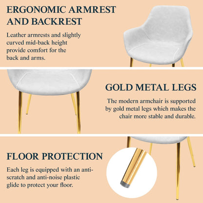 Markley Modern Leather Dining Arm Chair With Gold Light Grey Metal Legs Set of 2