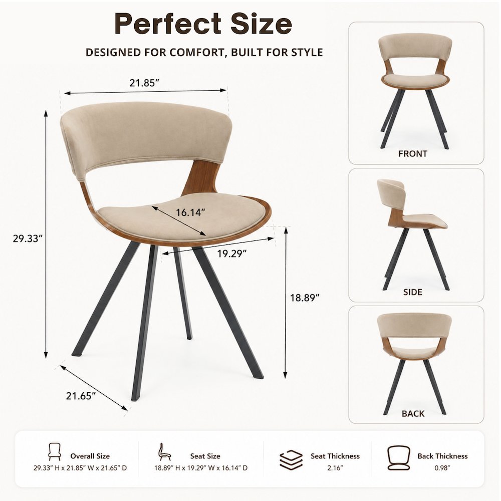 Modern Oyster Transparent Side Chair Set of 4